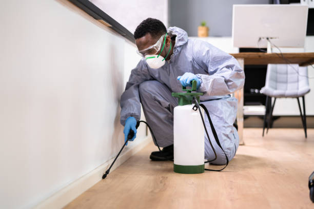 Best Pest Prevention Services  in Yellow Springs, OH